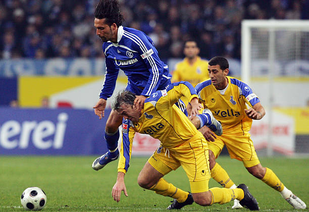 以其美丽的 以其美丽的